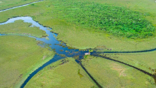 Everglades Nationalpark