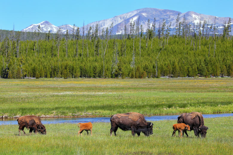 Nationalparks USA